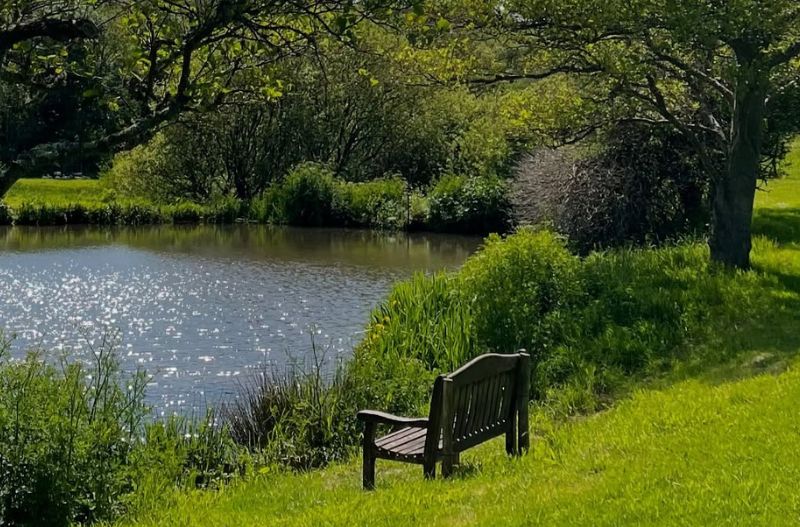 Bench by Hope Barton lake